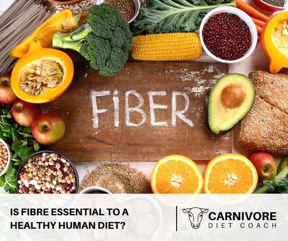 fibre essential human diet