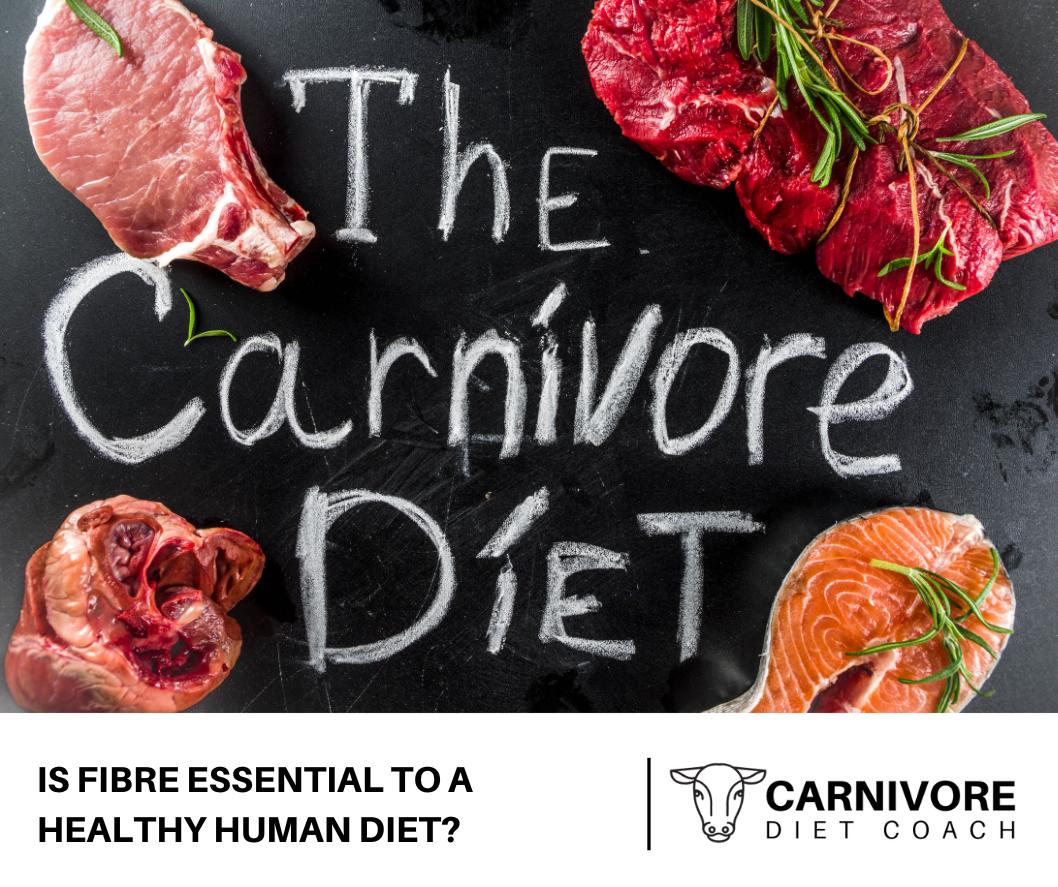 30 day carnivore diet challenge