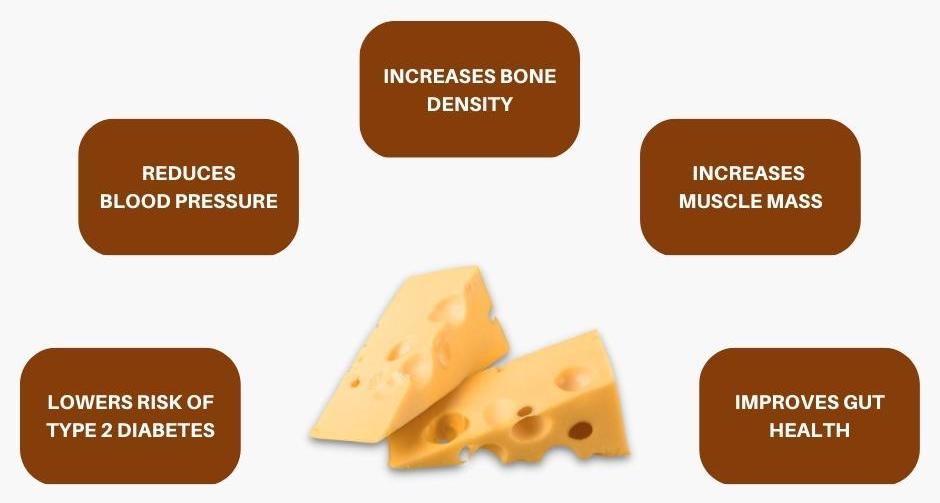 Cheese benefits carnivore diet