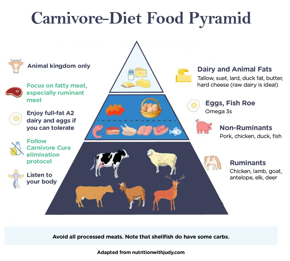carnivore-diet food pyramid by Dr Kiltz