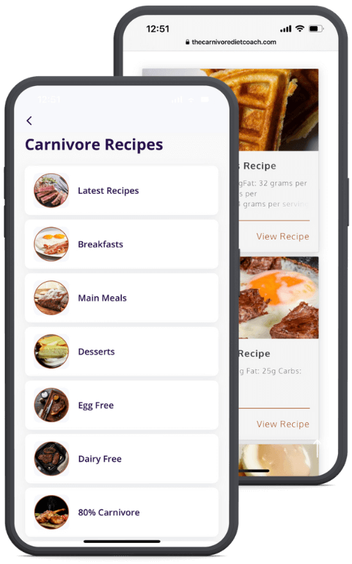 carnivore diet recipes header