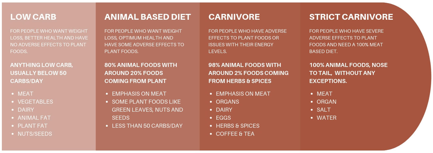 levels of carnivore diet