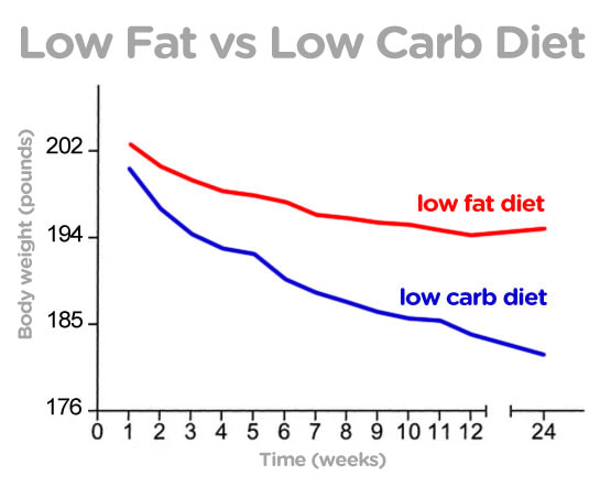 low carb vs low fat diet