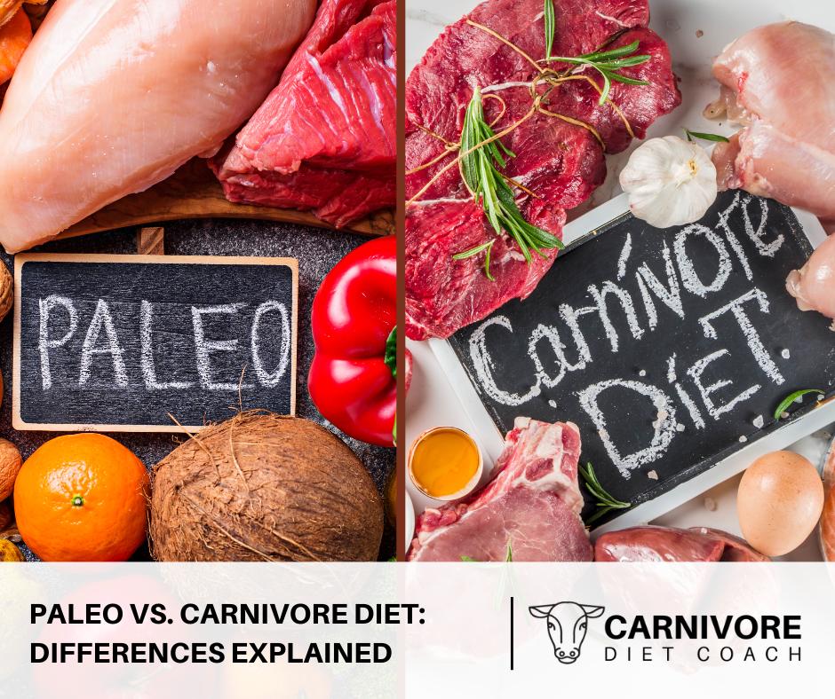 paleo vs carnivore diet