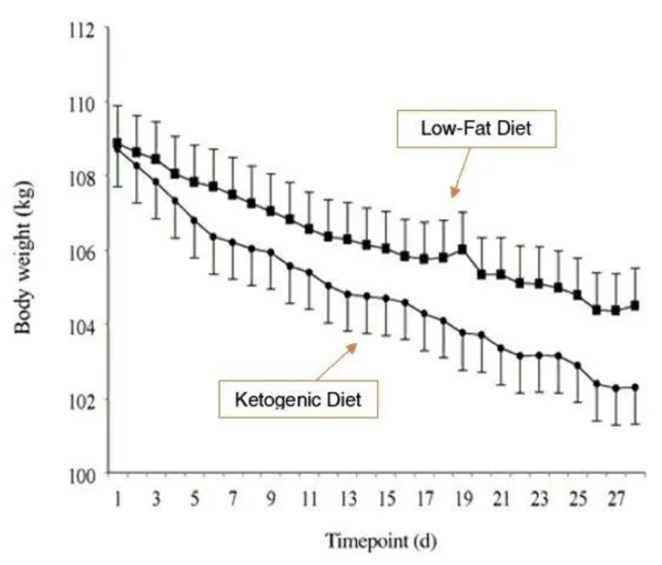 ketosis weight loss