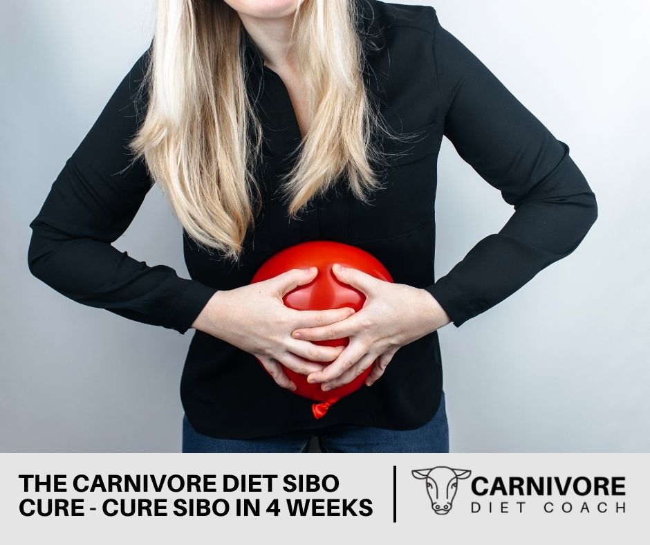 carnivore diet SIBO cure