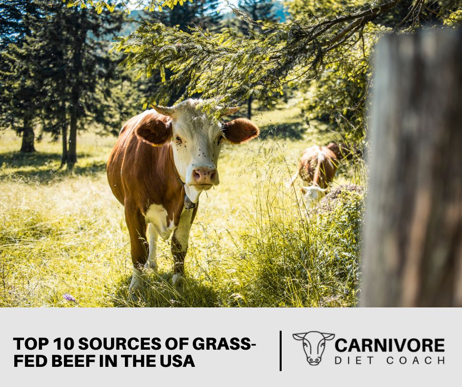 Top 10 Sources of Grass-Fed Beef in The USA